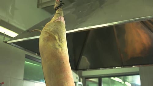 Whole Pig Carcass Hanging in Commercial Kitchen