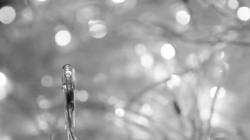 Fairy Light Glows in a Cozy Christmas Scene