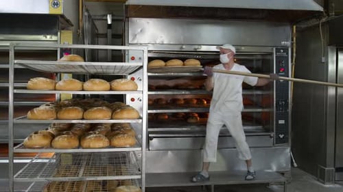 Chef nimmt frisch gebackene Backwaren aus dem Ofen. Gebackenes Brot wird in einem