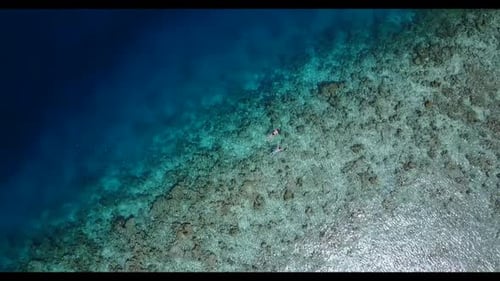 Aerial drone view abstract of marine sea view beach wildlife by blue ocean with clean sand backgroun