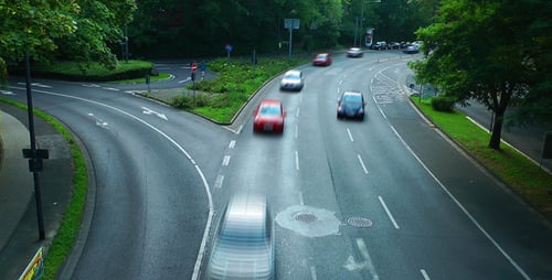 The Traffic