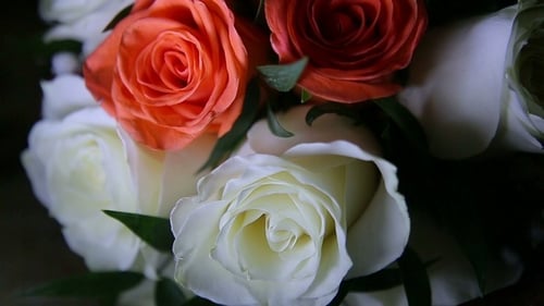 Beautiful Wedding Bouquet of Roses Close Up