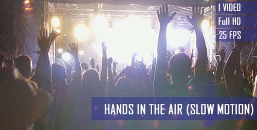 Audience Enjoying Exciting Concert with Hands in Air