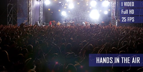 Crowd Cheering at Live Concert Performance at Night