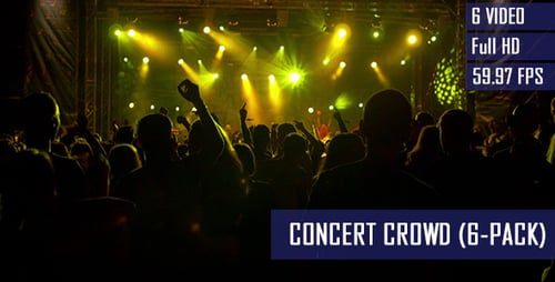 Crowd at Live Music Concert at Night