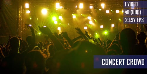 Excited Concert Crowd Silhouetted at Nighttime Music Event