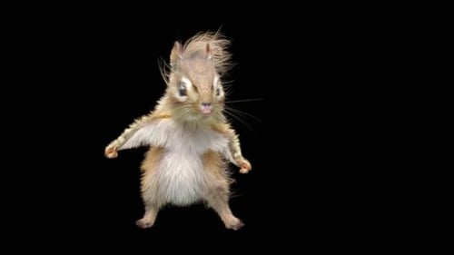 Dancing Chipmunk Animation with Alpha Channel