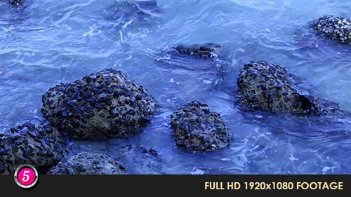 Water Waves 13