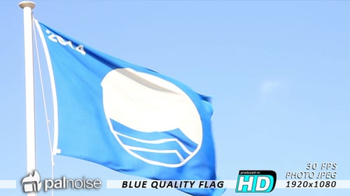 Blue Beach Flag Waving in Clear Sky Breeze