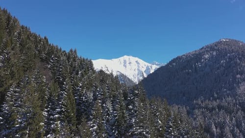 Aerial View of Snow-Covered Mountains and Winter Forest