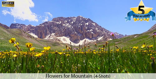 Flowers for Mountain