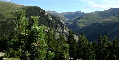 Hill