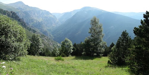 Green Valley