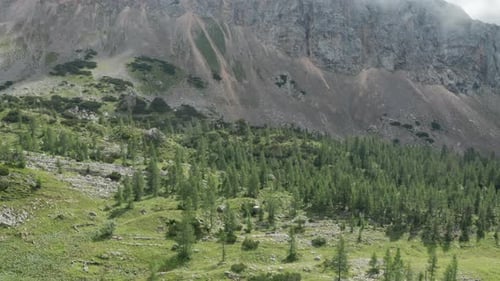 Vol De Drone Sur Paysage D'Arbres Aux Montagnes