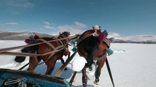Kars in Turkey Sleigh Rrides