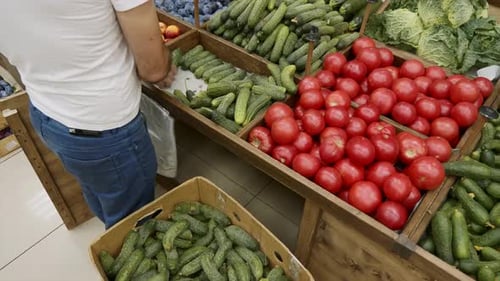 Close-up Hands of Grocery Worker Is Arranging Cucumbers on Store Shelves