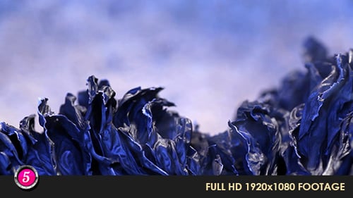 Close Up of Burnt Paper Edges with Smoke