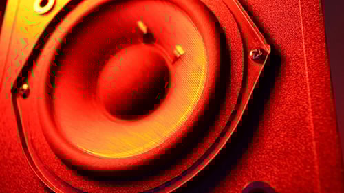 Woofer Cone In Motion 2