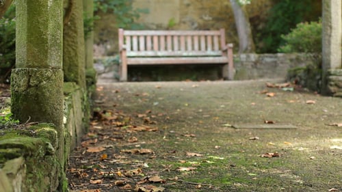 Bench In The Park 01