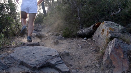 Man Jogging on a Rocky Uphill Forest Trail