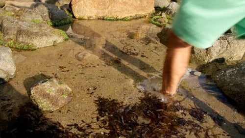 Walk Through the Seashore Splashing Water