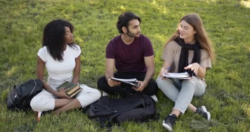 Schüler sitzen mit Büchern auf einer Wiese und lernen