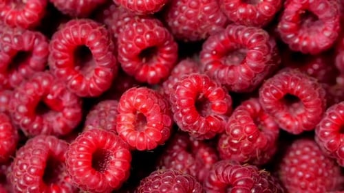 Close Up Rotation Loopable Raspberry. Fresh, Juicy Raspberry Background, Ripe. Macro Red Raspberries