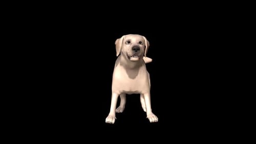 Animated 3D Labrador Dog Performing Various Actions