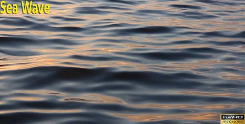 Sea Wave