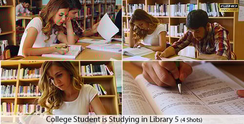College Students are Studying in Library
