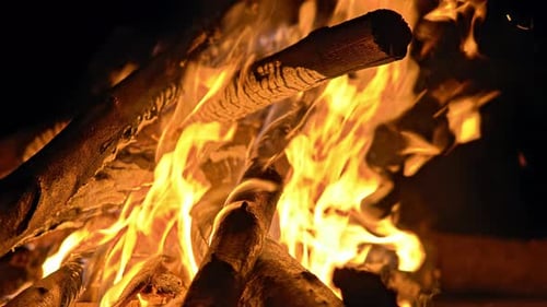 Camp Fire (4K)