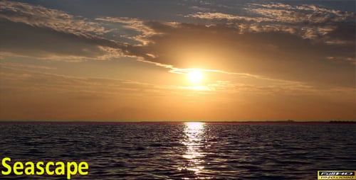 Golden Sunset Over the Ocean with Birds