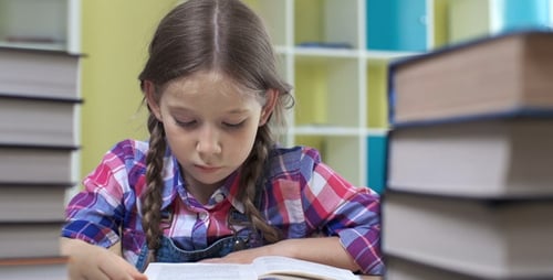 Absorbed in Reading