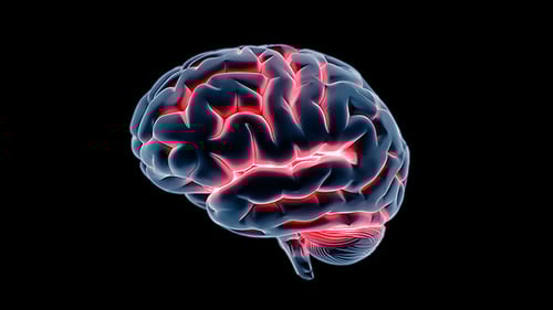 Human Brain Scan Animation with Red Neuron Activity