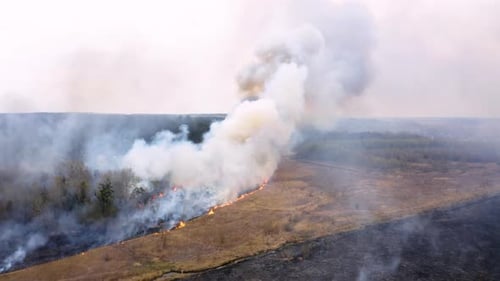 Flying above smoke from a fire in the forest Siberian forest burning, wild fire on field