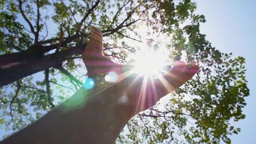 Sun in Hand