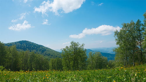 Berglandschaft