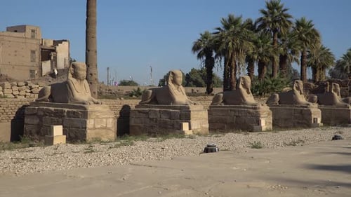 Luxor Temple in Luxor, Ancient Thebes, Egypt, Luxor Temple