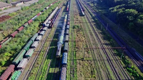 Colorful Freight Trains on the Railway Station