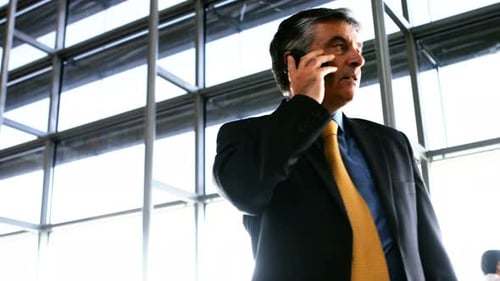 Professional Man Talking on Phone at Airport Terminal