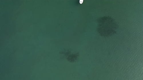Barco e o mar
