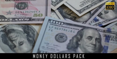 Geld-Dollar-Paket 14