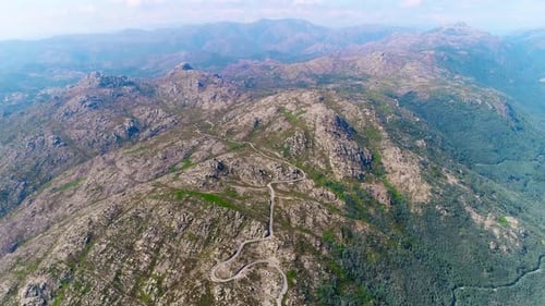 Forest Road
