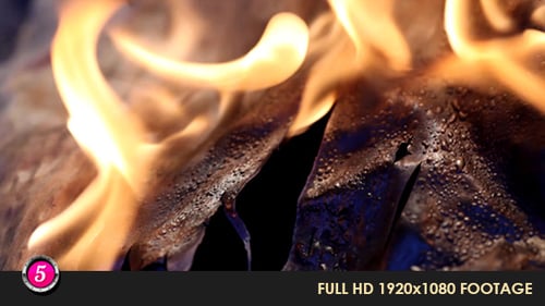 Fire Burns Inflames 29