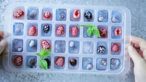 Frozen Berries and Mint in Ice Cube Tray