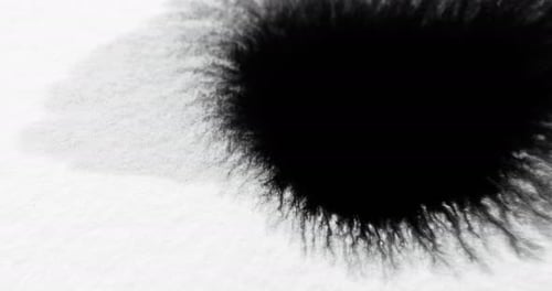 Paint Drop Water Transition Overlay Black Blotch