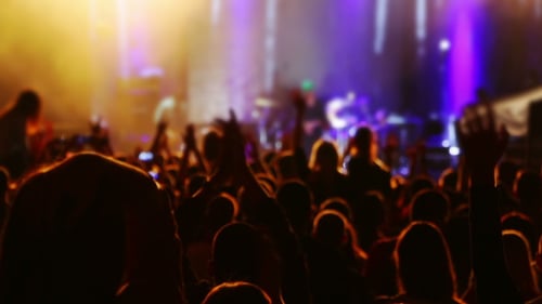 Silhouetted Crowd Cheers at Live Concert