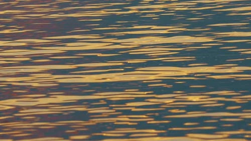 Rippling Water Reflecting Golden Light at Sunset