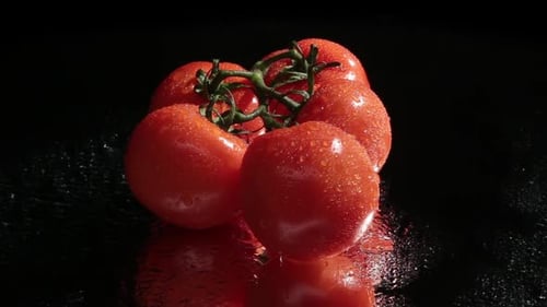 Fresh Red Tomatoes on Dark Background, Revolving Turntable