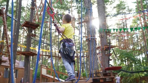 Little Boy Is Walking on the Obstacle Course on the Ropes Between the Trees. Rope Town